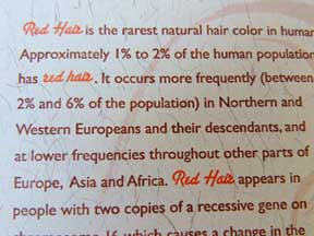 rare-hair-detail-sm