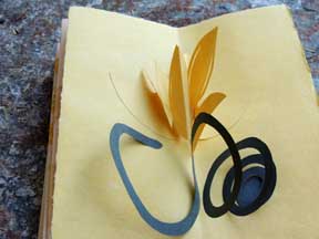 squash-blossom-sm
